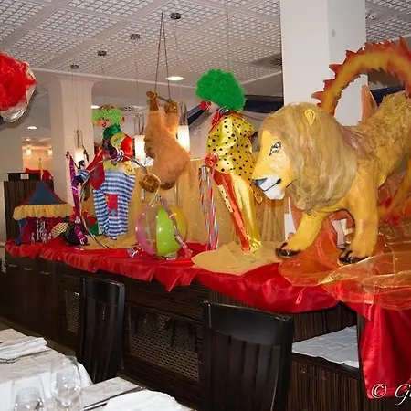 Angelina ביביונה